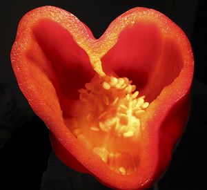 un parfait  amour lesse le jolie sourir mais le contrere ....